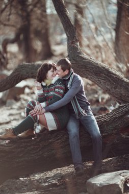 Bahar ormandaki bir ağaç dalı oturan Romantik Çift. 