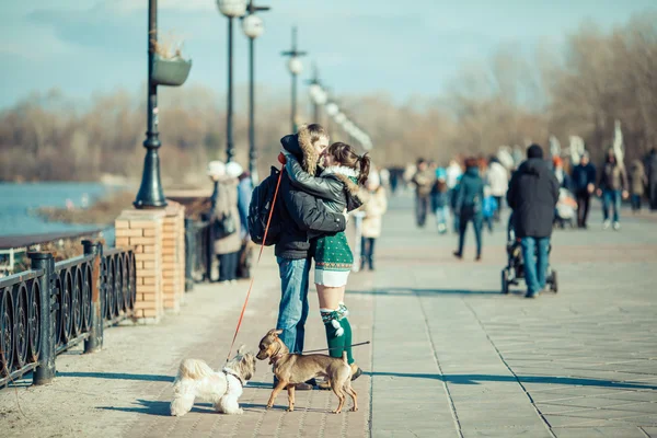 Çifte randevu insanlar ve köpekler Street. — Stok fotoğraf