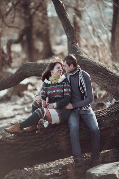 Casal romântico sentado em um galho de árvore na floresta de primavera . — Fotografia de Stock