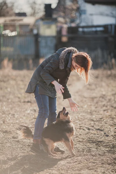 Chica juega con un perro en el patio trasero a la luz del sol . —  Fotos de Stock