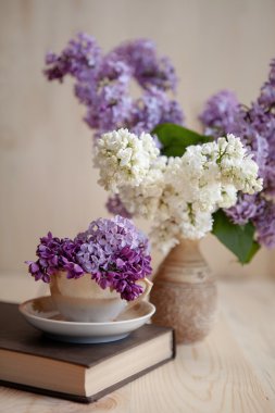 Lila rüya dekorasyon 