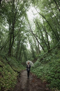 Genç kız şemsiye ile yağmurlu bir ormanda yürürken. 