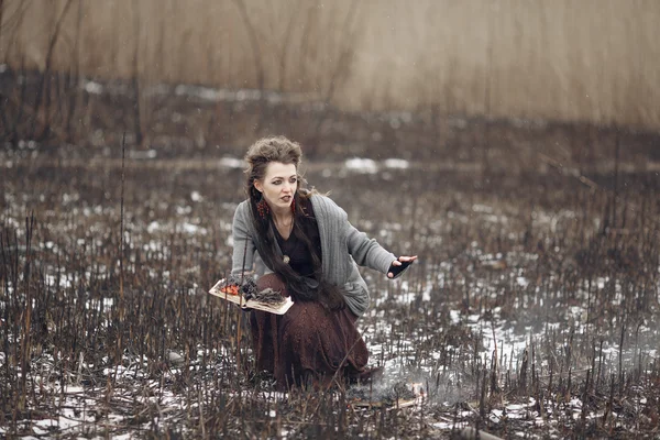 Zlá čarodějnice casting kouzla na pole spálené. — Stock fotografie