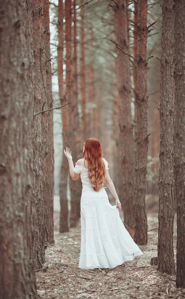 Ginger dziewczyna w białej sukni spaceru w lesie sosnowym. — Zdjęcie stockowe