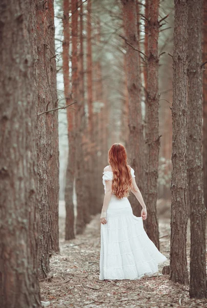 Chica pelirroja en vestido blanco caminando en el bosque de pinos . — Foto de Stock