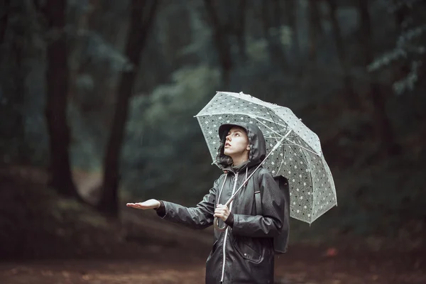 Chica joven caminando a través de un bosque lluvioso con paraguas . — Foto de Stock