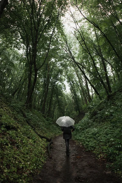 Jeune fille marchant dans une forêt pluvieuse avec parapluie . — Photo