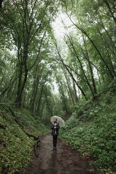 Chica joven caminando a través de un bosque lluvioso con paraguas . —  Fotos de Stock