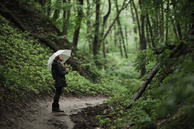 Genç kız şemsiye ile yağmurlu bir ormanda yürürken. 
