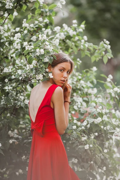 Hermosa joven en lindo vestido rojo caminando en el jardín cerca de flores de jazmín en flor . — Foto de Stock