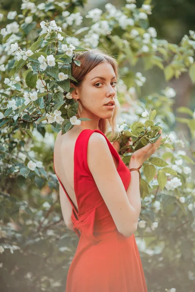 Belle jeune fille en robe rouge mignonne marchant dans le jardin près de fleurs de jasmin en fleurs . — Photo