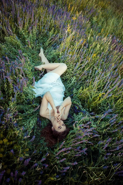 セージ花畑で美しい少女. — ストック写真
