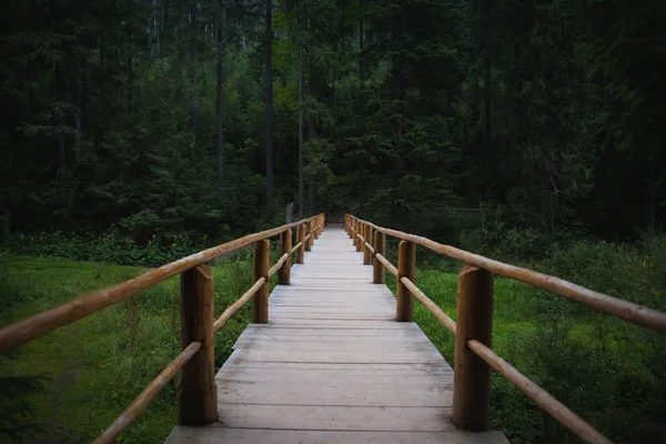 Summer mountain bridge Stock Photo