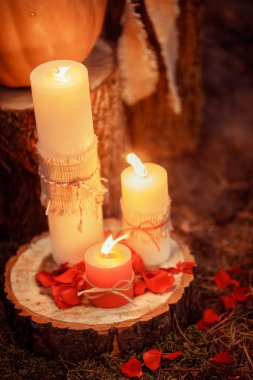 Cadılar Bayramı balkabağı süslemesi