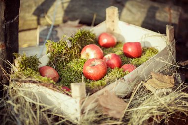 Ahşap kutusunda elma