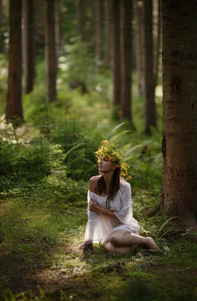 Ninfa del bosque Mavka — Foto de Stock