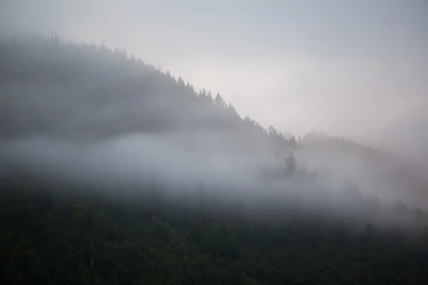 Dimmiga bergen kallt — Stockfoto