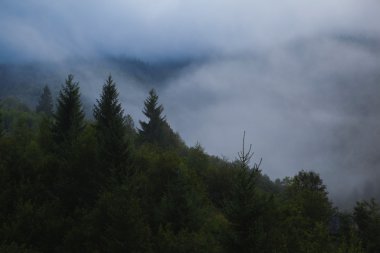 Puslu dağlar soğuk