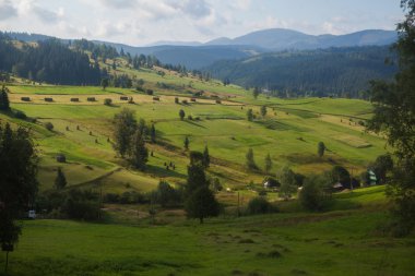 Yaz dağı manzarası
