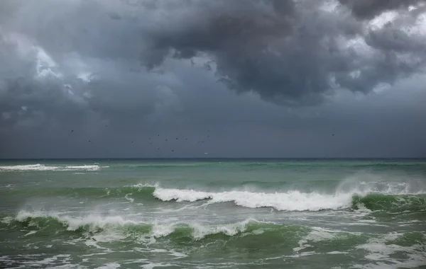 Tormenta en la orilla del mar — Foto de Stock