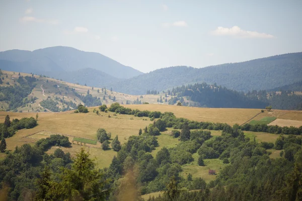 Літній гірський ландшафт — стокове фото