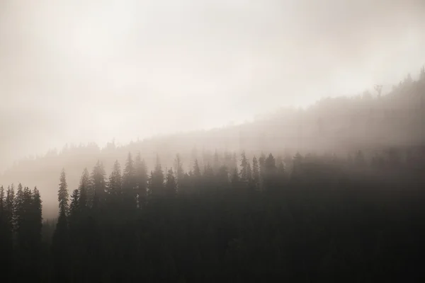 Dimmiga bergen kallt — Stockfoto