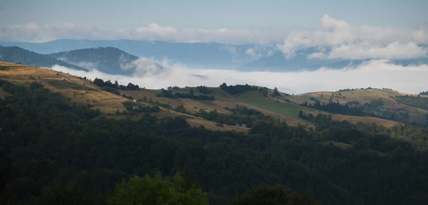 Sommar bergslandskap — Stockfoto