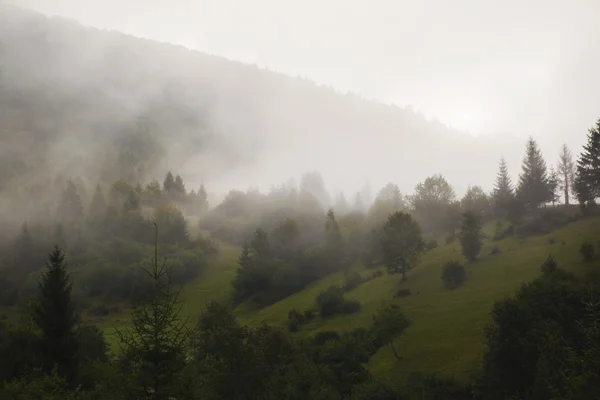 Montagnes brumeuses froid — Photo