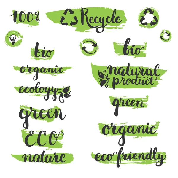 Set van handgeschreven penseel pen belettering en kalligrafie ecologie woord: organische, eco, ecologie, natuurlijke product, bio, recyclen met elementen op de groene borstel stempel. Sjabloon voor eco-logo, label en badge. — Stockvector