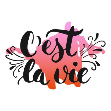 Cest la vie - renkli çizim elemanı ile beyaz arka plan üzerinde izole Fransızca yaşam el çizilmiş harf ifade. Fotoğraf bindirmeleri, tebrik kartı veya poster tasarımı için eğlenceli mürekkep yazımı