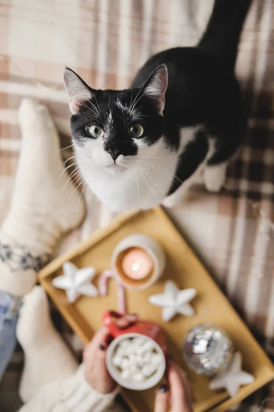 Young woman sits on plaid in cozy knitted woolen sweater with funny tuxedo black and white cat. Wooden tray with mug of chocolate, marshmallow cocoa, Candle, stars. Hygge New Year, cozy Christmas. — Stock Photo, Image