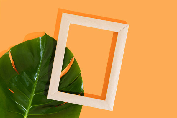 Рамка для фотографии или живописи и листья монстра на ярком желтом фоне. Макет оранжереи. Место для вставки текста, изображений. Вид сверху. Плоский лежал. Цвет года 2021