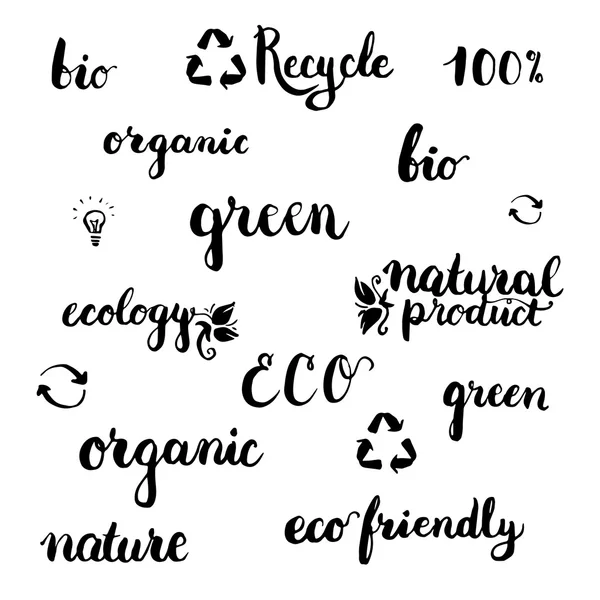 Set van handgeschreven penseel pen belettering en kalligrafie ecologie woord. Sjabloon voor logo, label en badge. — Stockvector