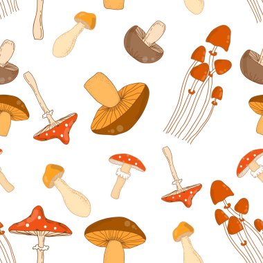 Farklı mantarile renkli dikişsiz desen arka plan