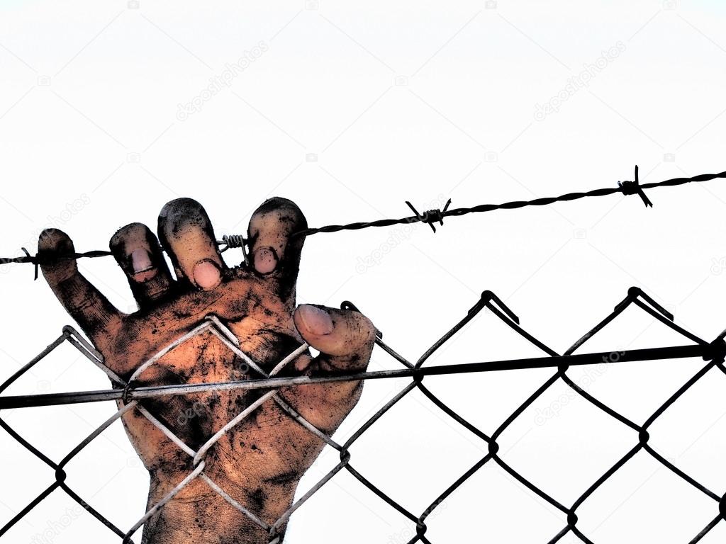 Dirty and discolored hand clinging to a steel barb wire fence