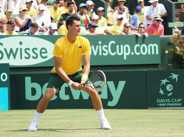 Bernard Tomic during Davis Cup singles — Stock Photo, Image