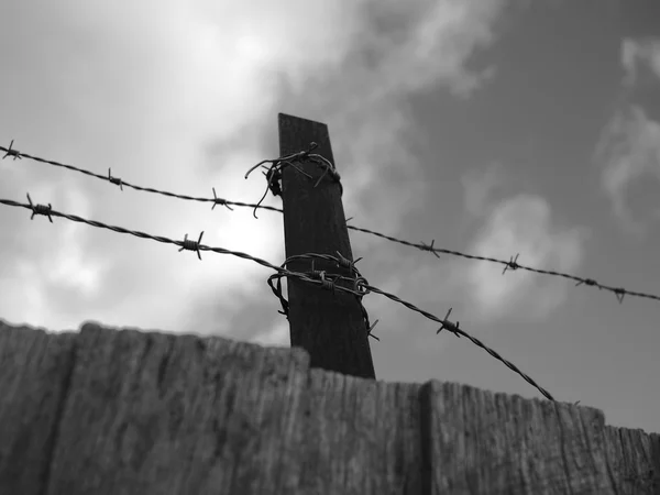 Steel barb wire on a fence under cloudy sky black and white — Stock Photo, Image