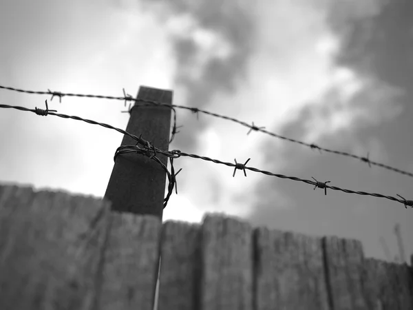 Steel barb wire on a fence under cloudy sky black and white — Stock Photo, Image