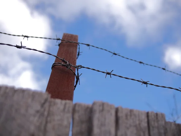 Steel barb wire on a fence under blue and cloudy sky