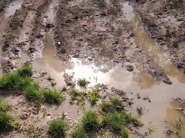大雨の後の泥の水たまり — ストック写真