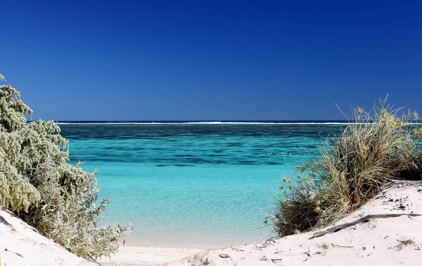 Vista de las aguas turquesas prístinas a través de la brecha en las dunas del arrecife Ningaloo — Foto de Stock