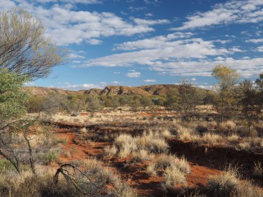 Late afternoon view in the outback near dry Simpsons Gap clipart