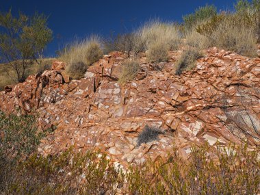 Flecked Dolomite rock and spinifex grass at the nature clipart
