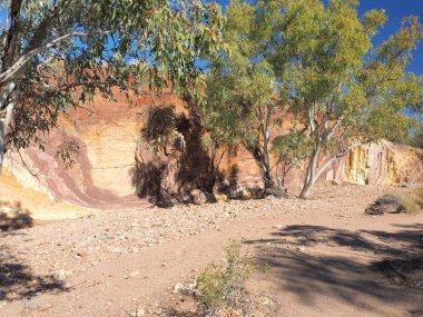 McDonnell aralıkları nehir yatak hardal li ile