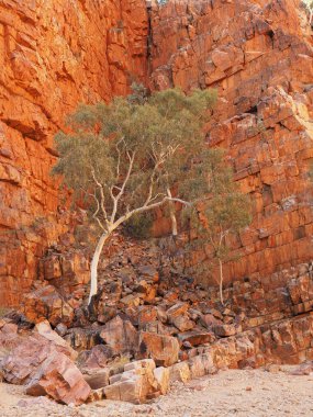Ormiston Lirası RIM kaldırımı boyunca su kuyusu
