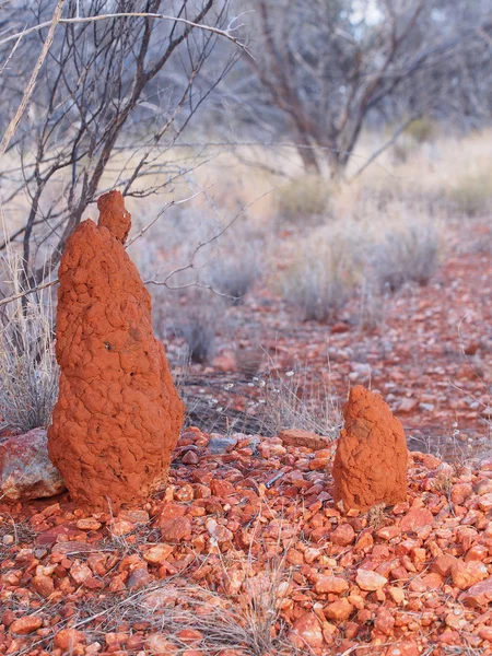 Two Termite Mounts in the outback — Stock Photo, Image