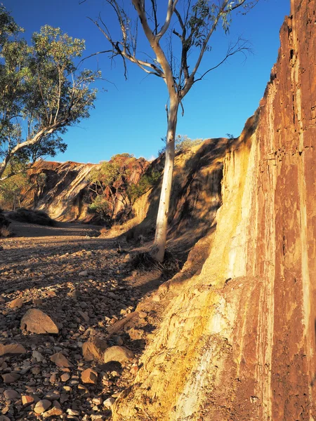 Fortes lignes d'ocre vers le haut sur les rives d'un ruisseau dans les chaînes McDonnell, lieu de l'exploitation minière autochtone de l'ocre, Alice Springs — Photo