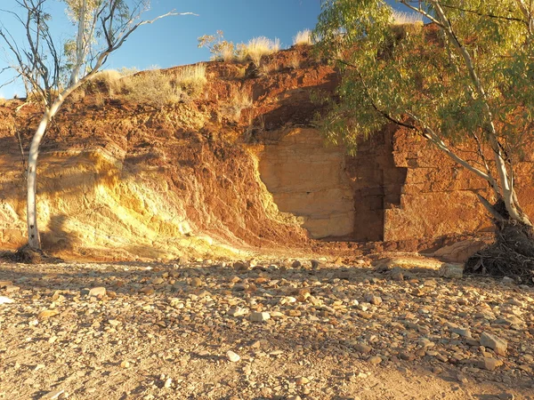 Fortes lignes ocres vers le haut et arbre dans les rives d'un ruisseau sec aux chaînes McDonnell, Alice Springs — Photo