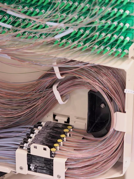 Band till fiber övergången på baksidan av en 576f Distribution Hub Panel — Stockfoto