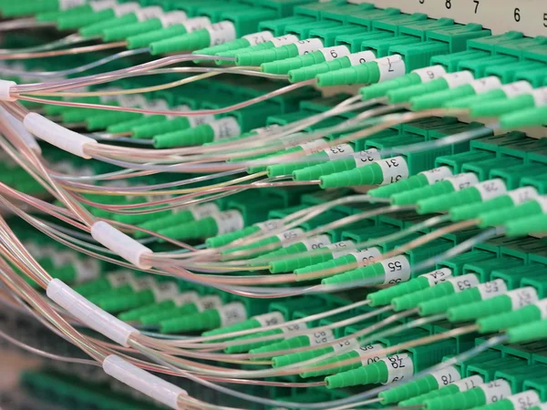 Fiber Optic Connectors in the back of a 576f Distribution Hub Panel connecting homes to Broad Band Services — Stock Photo, Image